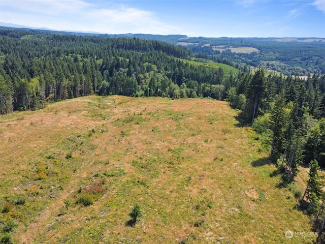 607 Brown Rd E, Adna, WA 98522 - photo 16