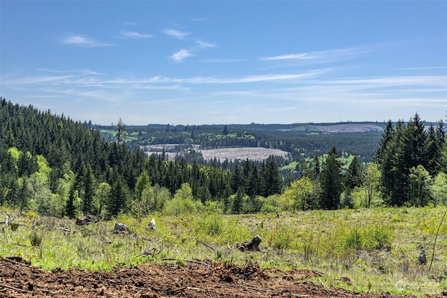 607 Brown Rd E, Adna, WA 98522 - photo 26