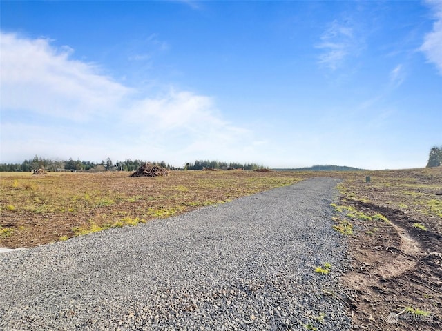 607 Brown Rd E, Adna, WA 98522 - photo 10