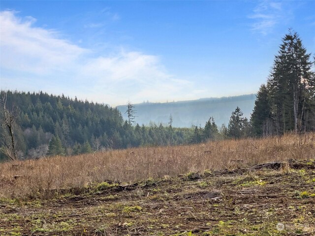 607 Brown Rd E, Adna, WA 98522 - photo 28