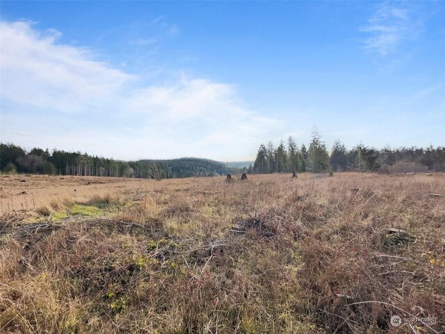 607 Brown Rd E, Adna, WA 98522 - photo 17