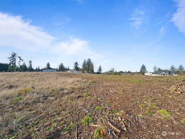 607 Brown Rd E, Adna, WA 98522 - photo 30