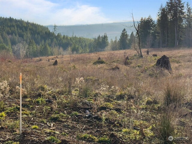 607 Brown Rd E, Adna, WA 98522 - photo 27