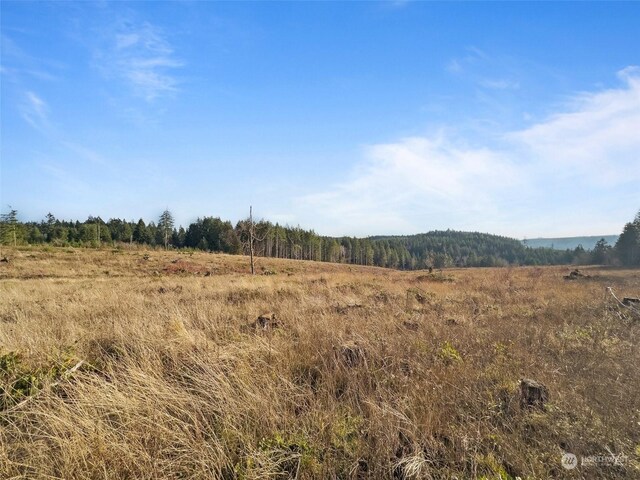 607 Brown Rd E, Adna, WA 98522 - photo 19