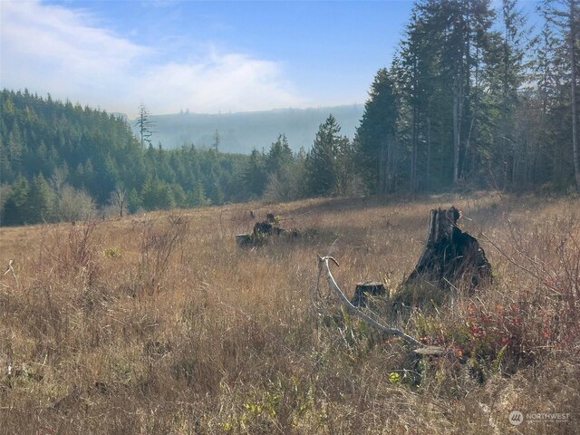 607 Brown Rd E, Adna, WA 98522 - photo 18