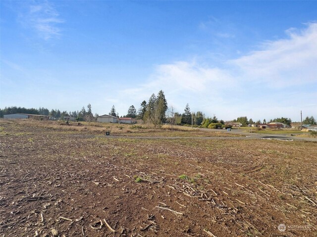 607 Brown Rd E, Adna, WA 98522 - photo 31
