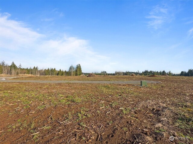 607 Brown Rd E, Adna, WA 98522 - photo 15