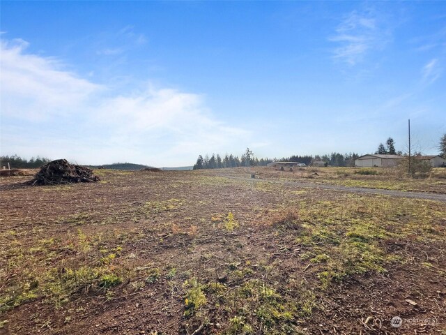 607 Brown Rd E, Adna, WA 98522 - photo 32
