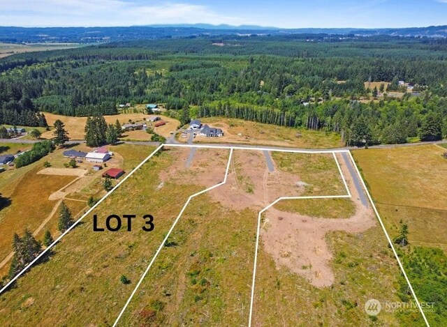 607 Brown Rd E, Adna, WA 98522 - photo 4