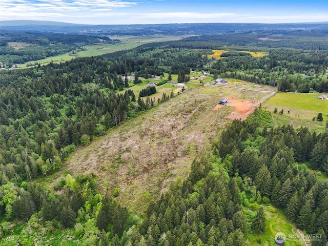 607 Brown Rd E, Adna, WA 98522 - photo 2