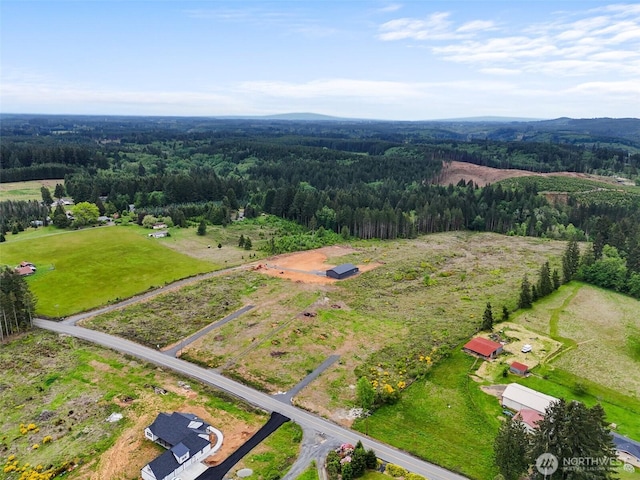 607 Brown Rd E, Adna, WA 98522 - photo 3