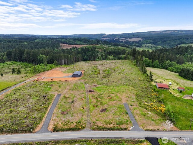 607 Brown Rd E, Adna, WA 98522 - photo 6