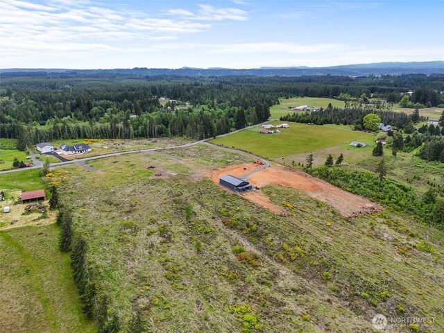 607 Brown Rd E, Adna, WA 98522 - photo 13