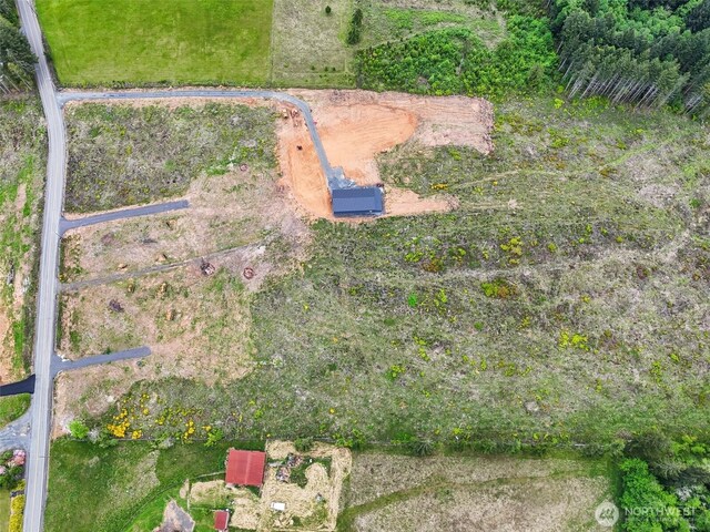 607 Brown Rd E, Adna, WA 98522 - photo 14