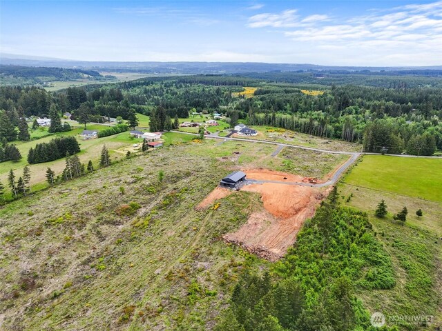 607 Brown Rd E, Adna, WA 98522 - photo 35