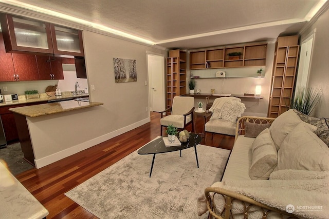 living room featuring dark hardwood / wood-style floors and sink