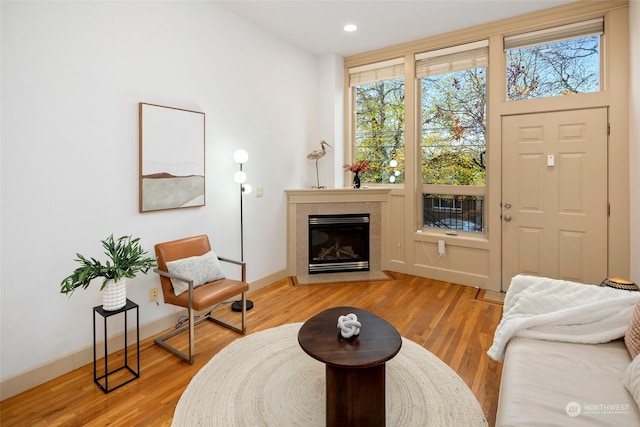 living area with hardwood / wood-style floors