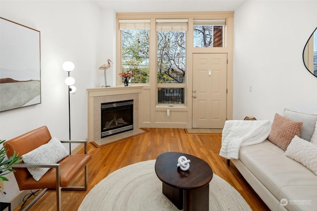 living room with hardwood / wood-style floors