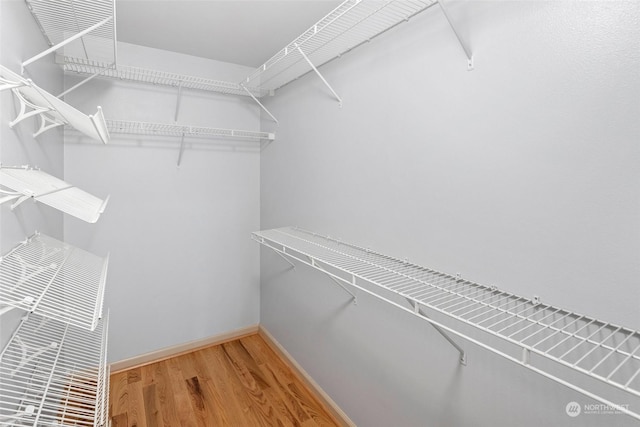 spacious closet featuring hardwood / wood-style floors