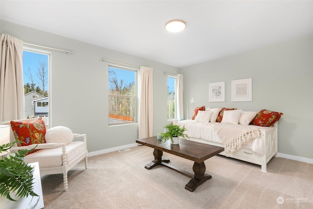 bedroom featuring light carpet