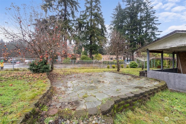 view of yard featuring a patio area