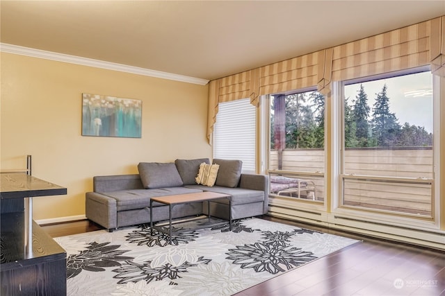 living room featuring wood-type flooring and ornamental molding