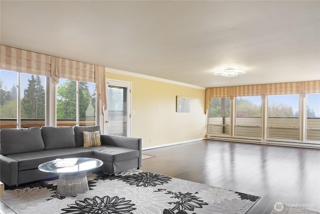 8516 196th St SW Unit 302, Edmonds, WA 98026 - living area featuring crown molding, baseboards, plenty of natural light, and wood finished floors