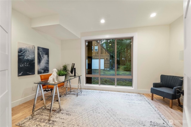 office featuring plenty of natural light and hardwood / wood-style flooring