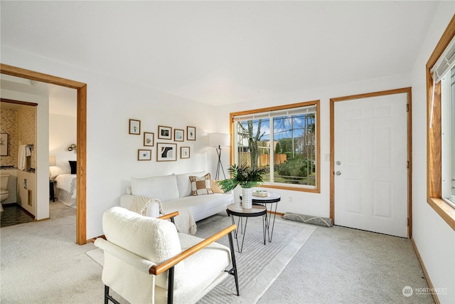 living room featuring light colored carpet