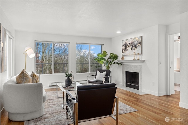 living room with hardwood / wood-style floors, a baseboard radiator, and a healthy amount of sunlight