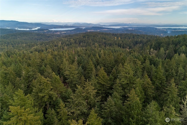 drone / aerial view with a mountain view