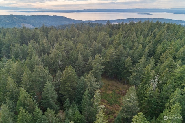 aerial view at dusk featuring a mountain view