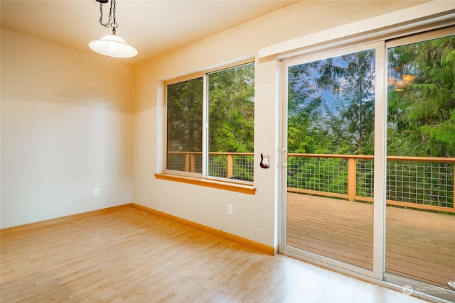 doorway to outside with wood-type flooring