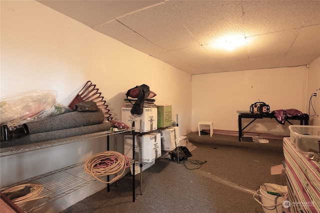 interior space featuring carpet floors