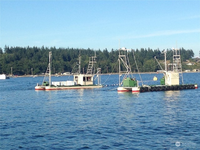 view of water feature with a boat dock