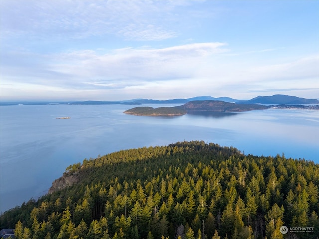 3482 Green Cliffs Rd, Anacortes WA, 98221 land for sale