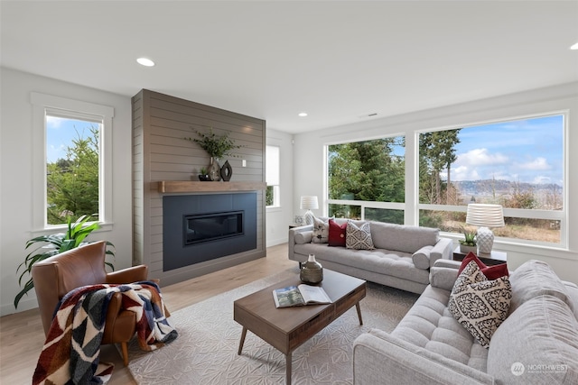 living room with light hardwood / wood-style floors