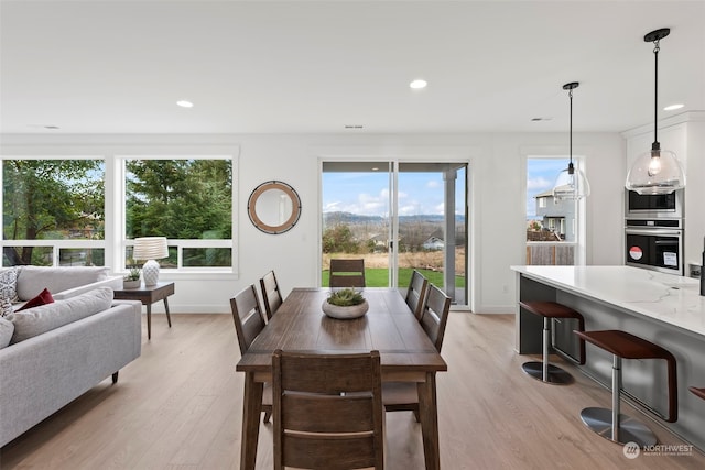 dining room with light wood-type flooring