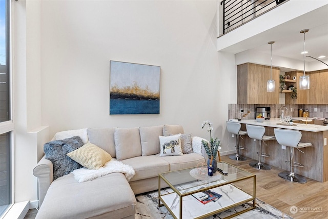 living room with light hardwood / wood-style floors