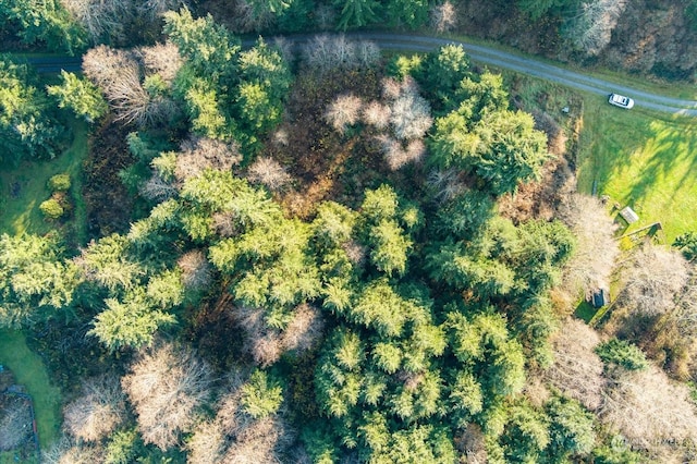 261 Aloha Pl Lot # 2, Coupeville, WA 98239 - photo 4