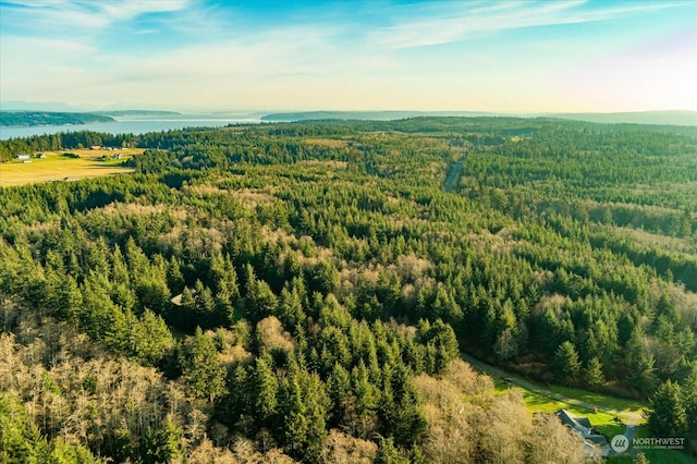 261 Aloha Pl Lot # 2, Coupeville, WA 98239 - photo 9