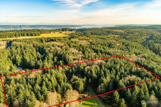 261 Aloha Pl Lot # 2, Coupeville, WA 98239 - photo 11