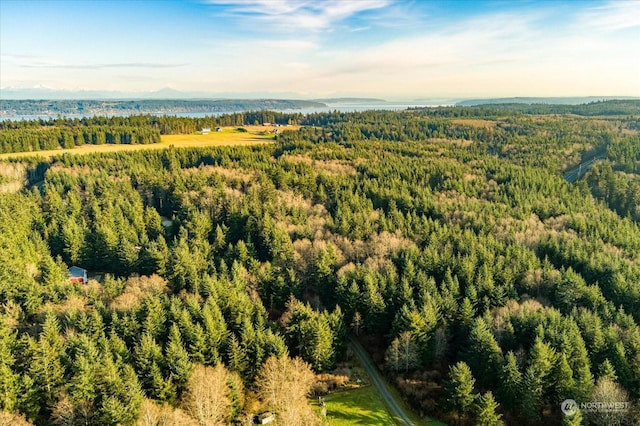 261 Aloha Pl Lot # 2, Coupeville, WA 98239 - photo 12