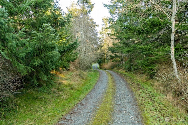 261 Aloha Pl Lot # 2, Coupeville, WA 98239 - photo 13