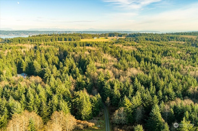 261 Aloha Pl Lot # 2, Coupeville, WA 98239 - photo 14