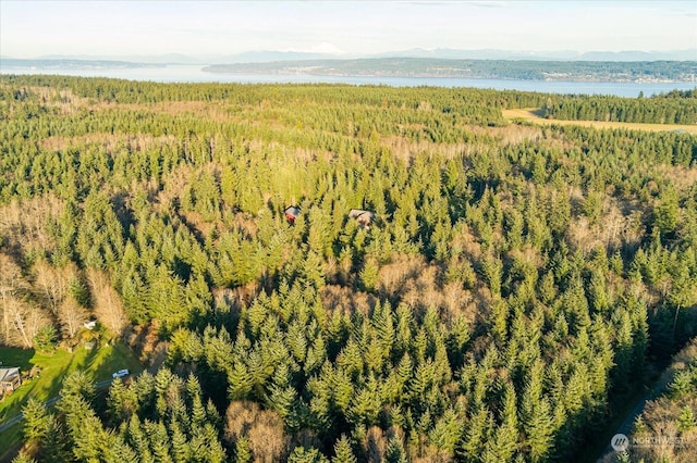 261 Aloha Pl Lot # 2, Coupeville, WA 98239 - photo 15