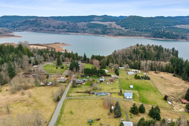 birds eye view of property with a water and mountain view