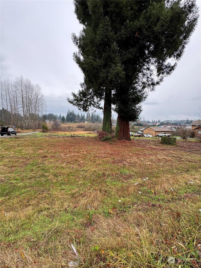 1612 SE Sylvis Ln, Port Orchard, WA 98366 - photo 4