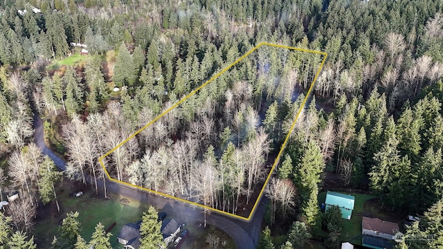 34602 82nd Ave S, Roy WA, 98580 land for sale