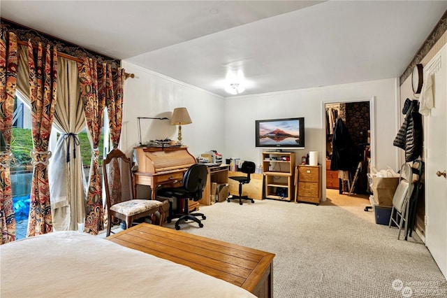 bedroom featuring carpet floors and crown molding